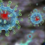 Коронавірус профілактика інфікування і поширення